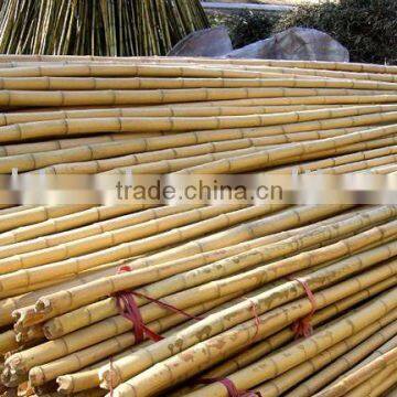 Bamboo Pole Sun-002