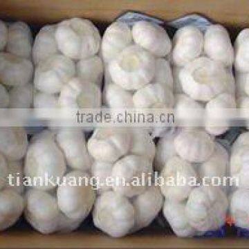 Chinese Pure White Garlic