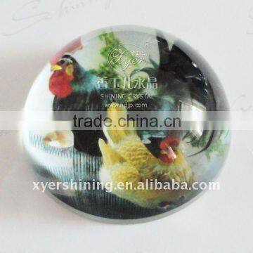 Clear Glass Image Paperweight Glass Crafts