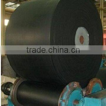 Flame Retardant Nylon Conveyor Belt Importers in China photo-3