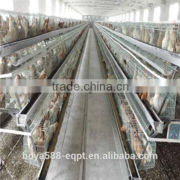 A type ladder chicken cage for pullet