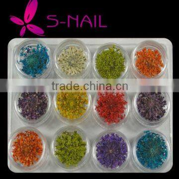 Natural dried flower decoration , nail art dried flowers