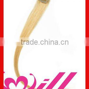 Clip In extension remy clip on indian hair extensions