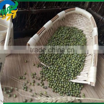 High quality organic Green mung beans for sale