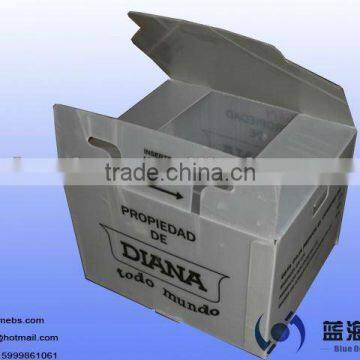 pp hollow plastic box/danpla box for banana/potato/onion