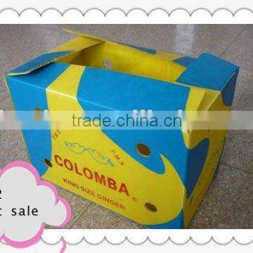 Corrugated pp hollow core box for fruits and vegetable