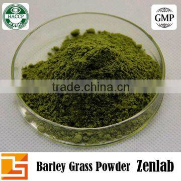 Pure Natural Young Barley Grass Powder photo-2