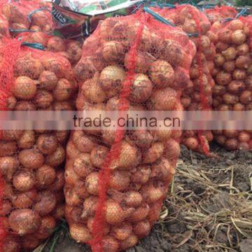 Fresh Red & Yellow Onion photo-3