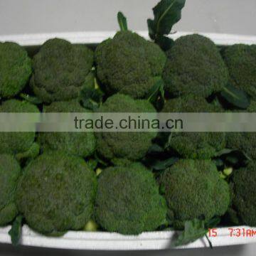 Green Broccoli From China Frozen Broccoli for Sale photo-3