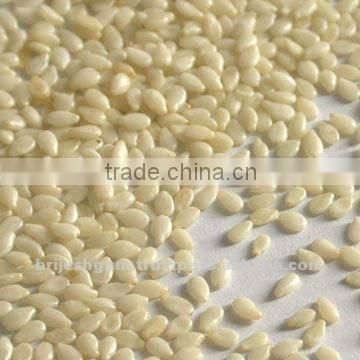 White Hulled Sesame Seed