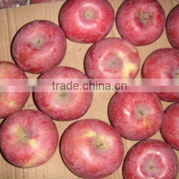 Fresh Qinguan Apple photo-5