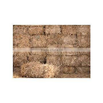 Straw hay bale, wheat hay bale, wheat straw bale, straw hay for animal, feeding straw hay