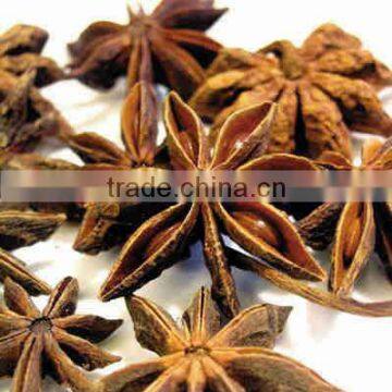 illicium verum