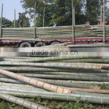 Construction Building Material Bamboo photo-3