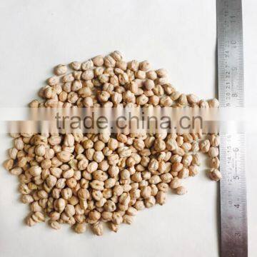 Indian Chickpeas photo-2