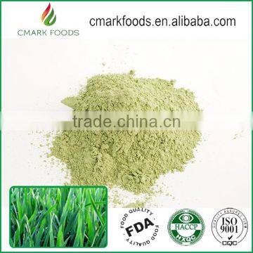 Top Quality Barley Grass Juice Powder 200mesh