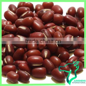 Dried Adzuki Beans Shan Xi Bulk Small Red Bean