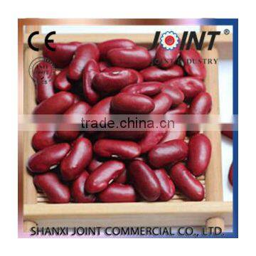 Export / Supply Red Kidney Beans