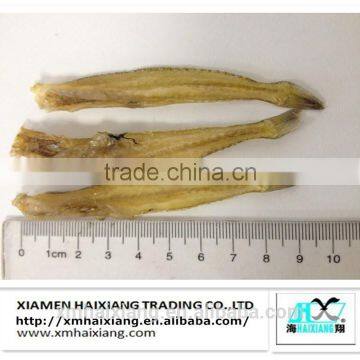 Dried frozen silver silago fish for pet