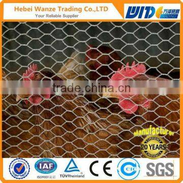 Best choice electro galvanized hexagonal wire mesh / Hot dipped galvanized Hexagonal wire mesh golden suppliers