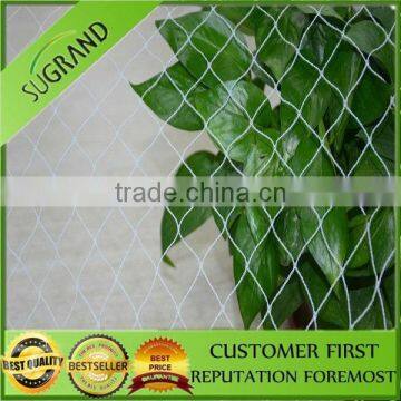 100% virgin HDPE bird Protection net