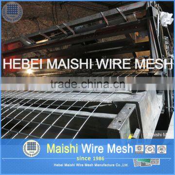Welded Wire Mesh/Galvanized Welded Wire Mesh photo-3