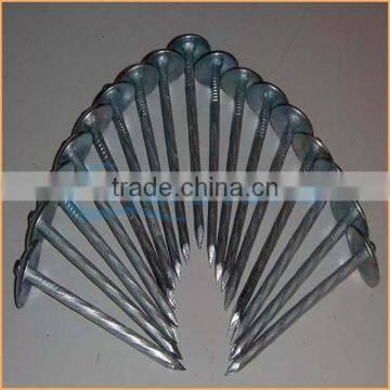 Top Quality Plastic Washers for Roofing Nails Trusted Chuanghe Suppliers From Com photo-6