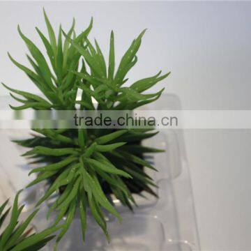Brand Name Artificial Mini Bonsai Plants Artificial Multicapacity Process Bonsai Decor photo-4