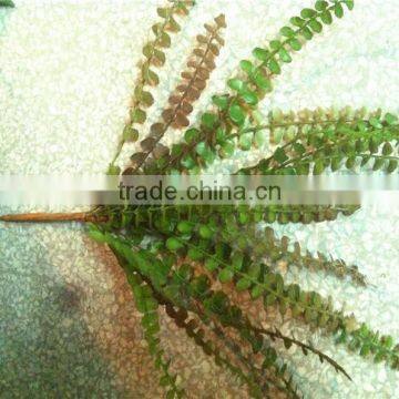 Home and Outdoor Garden Edging Christmas Decoration 60cm or 24inches Height Artificial Small Grass for Green Wall E04 1025 photo-3