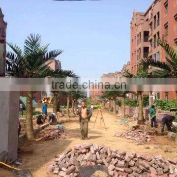 Artificial Palm Tree for Decoration China Fake Garden Fiberglass Tree Decor photo-6
