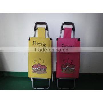 Rolling Shopping Cart with Bag and Black Piping