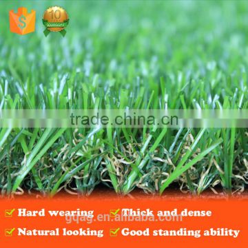 best price hot selling cheap decorating garden grass for wholesale with certificate