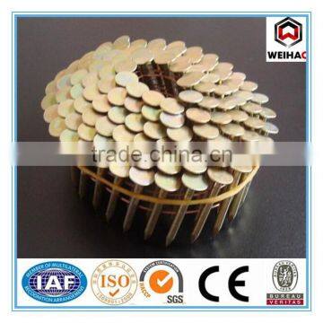 Pallet Coil Nail/Zince Coil Nails /Painted or Polished Coil Nail for pallet