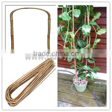 u-hoop bamboo poles baoboo canes for agriculture