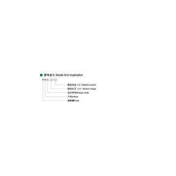 RN2 Indoor H. V Current - Limiting Fuse