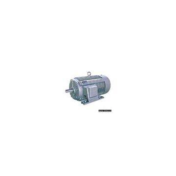 Three-Phase Asynchronous Induction Motor