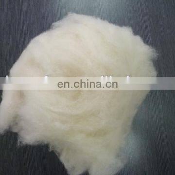 Good handfeeling chinese sheep wool 17.5-22.5mic/28-34mm for spinning