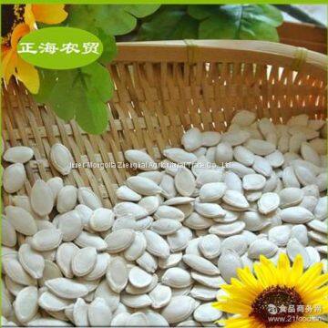 Pumpkin Seeds Shine Skin photo-4