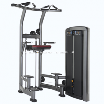 CM-0614 CHIN / DIP Commercial Exercise Equipment Machines For Fitness