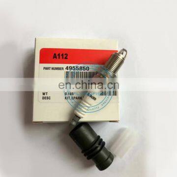 Truck engine 6CT8.3 Natural Gas Engine Spark Plug 4955850