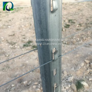 Metal Vineyard Grape Trellis Post