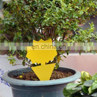 Strong Flies Sticky Traps Bugs Sticky Catching Aphid Insects Pest Killer Outdoor Fly Board Bait Flies Double Traps Sticker