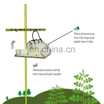 OEM Manufacturers Powerful Safer Sticky Moth Traps to Control Food Moth Cloth Strong Glue+paper+pheromone Bait 2 Year All-season photo-4