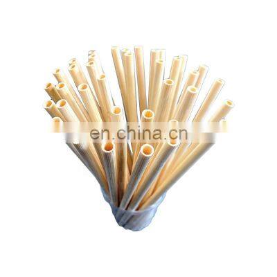 Amazon Top Seller Customized Free Laser Logo Reusable Biodegradable Bamboo Straw Drinking