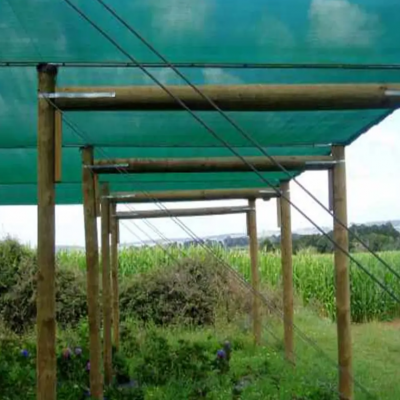 55% 65% 75% Green Sun Shade Fabric Polyethylene Greenhouse Garden Sun Shading Nets 10*50m photo-3