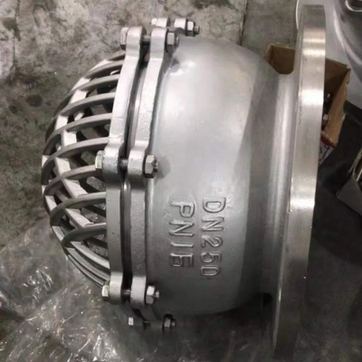 DN400 Stainless Steel 304 ANSI Flange Foot Valve Ductile Iron Foot Valve With Strainer for Water Pump Non Return Valve Price photo-6