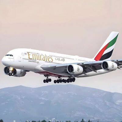 Air Freight/Freight Forwarding/China Import and Export photo-4