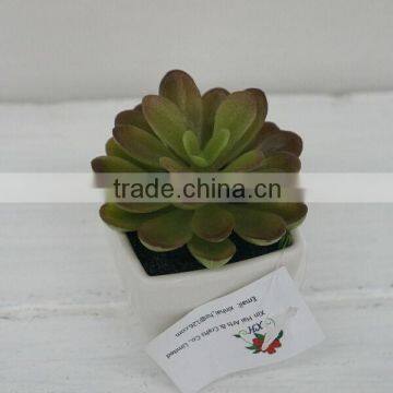 Mini succulents plants natural artificial plants gift high simulation plants