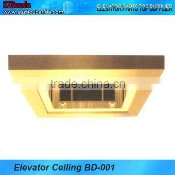 Elevator Parts/Passenger lift car cabin ceiling panel