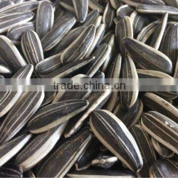 2015 New Crop Chinese sunflower seeds